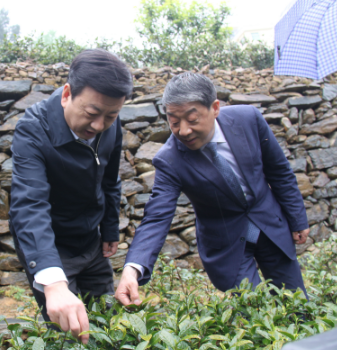 安康富硒茶引爆中國(guó)西部最牛茶專業(yè)展會(huì)(圖6)