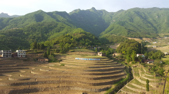 安康富硒茶引爆中國(guó)西部最牛茶專業(yè)展會(huì)(圖1)